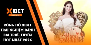 rồng hổ xibet
